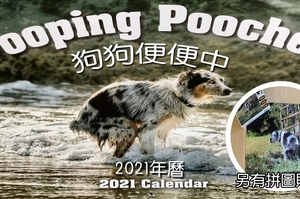 真的有人會買？2021年度「狗狗便便中」年曆出了，今年還多了「狗狗便便拼圖」讓你玩