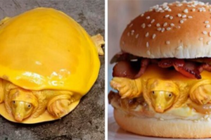 印度發現極為罕見的白化症烏龜：「全身鮮黃色」讓網友歪樓：「是漢堡？」