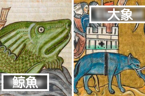 沒有親眼見過，完全靠想像力！「中世紀畫家」畫出的「動物」真的是超級爆笑！