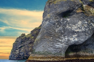 外國網友因海岸神似「大象」而驚艷！冰島「大象岩」有五官和身形彷彿「真的大象」
