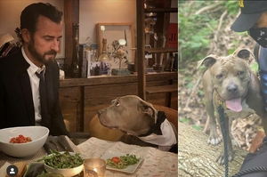 「明星的防疫狗伴！」生活需要儀式感，美國男星賈斯丁· 塞洛克與狗狗的可愛約會