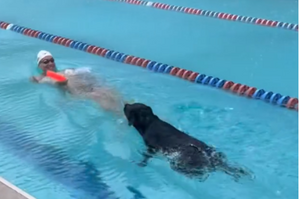 曾經的奧運金牌得主凱勒布·德萊賽爾的致勝秘訣，原來是僱傭了汪星人作為自己的游泳教練！