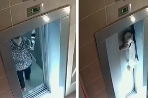 千鈞一髮之際！婦人進電梯卻忘了身後的狗狗，結果電梯升起狗狗吊半空垂死掙扎！