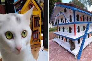 土耳其再次向世人展現「疼愛流浪貓的善行」，為流浪貓建造「戶外貓屋」以改善牠們的街頭生活！