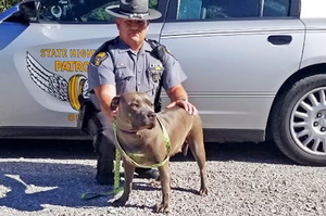 「遇見你真好」州警收養從公路上救出的鬥牛犬