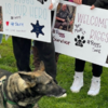 警犬執勤時額頭不幸中彈!康復離開醫院時驚見警察和居民「以英雄般的方式」前來迎接自己!