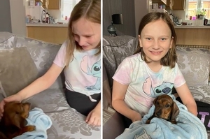 最棒的禮物！9歲小女孩渴望養「迷你臘腸犬」，媽媽準備驚喜讓她秒噴淚