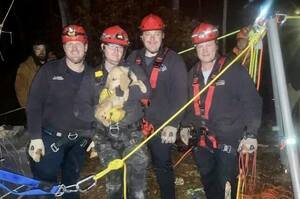 狗狗意外跌落「12公尺深礦井」失蹤一天消防員急出動成功救援：竟毫髮無傷！