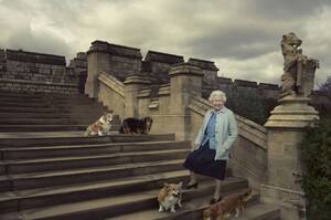 狗界巔峰！當英國女王的狗究竟有多幸福？女王為牠們量身設計了專屬菜單