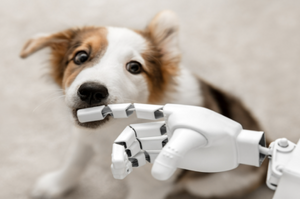 加州少年發明「會擼狗的機器人」讓主人不在家時狗狗也能「獲得愛的大抱抱」？
