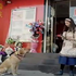 狗狗坐在花店前面不肯走,直到店員給了牠一朵百合才離開,而牠前往的地方令所有人都鼻酸了!