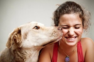 研究發現狗狗可以「聞出」血糖高低，然而並不是透過身體而是我們吐出的「口氣」