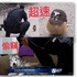 「警察北北我下次不敢惹Q__Q」這三隻重量級嫌疑犯分別因為不同罪行被警察盤問過,真的太萌啦!!!(圖+影片)