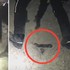 狗狗被活埋在瓦礫裡只露出鼻子和一隻腳,好險有一隻搜救犬帶著團隊找到了牠