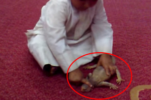 小男孩正毒打這隻可憐蜥蜴，接下來立刻嘗到「現世報」! 影片50秒後，真是大快人心!!! 