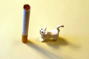 癮君子退散！你知道二手煙對家中動物的危害有多大嗎？