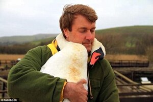 天鵝感激被男子拯救，沒有手不能擁抱只能用脖子取代表達謝意！