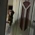 領養了一隻黃金獵犬後,牠每晚竟一直盯著新主人,知道原因後主人泣不成聲