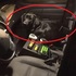 哪來的狗啊?!警車上突然出現一隻「黑嚕嚕」的狗,警察笑噴:你是來自首的嗎?