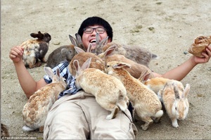 在這島上躺下來想拍張照片，這群「兔兔喪屍」馬上爬滿你全身....網友表示:「超萌殭屍軍團！」（影片）