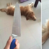 主人一怒之下拿刀威嚇黃金獵犬,狗狗嚇得淚眼汪汪讓人心疼!