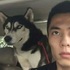 有變態?民眾向警方報案「有人硬闖進他家」到場一看犯人竟是隻哈士奇!