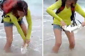 女子抓起「保育類」小鯊魚拍照瞬間被咬，送醫急救還被罰鉅款禍不單行！（影片）