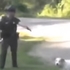警持槍瞄準善意接近狗狗,女飼主保護愛犬反被推倒逮捕歸案,強行沒收所有錄影設備!