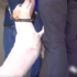 被帶去收容所的狗狗懇求主人不要拋棄,一直拉著主人的褲子不放...