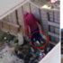 氣憤!男子向哈士奇寶寶頭部猛踢,事後卻不知悔改上網挑釁!