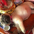 愛犬誤喝神桌的酒,結果變成了這樣!PO網問人該怎辦?!! 被網友的回覆笑噴!!