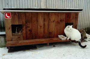 捨不得流浪貓凍僵，善心人士路邊建造「溫暖喵小窩」，讓流浪貓可以遮風避雪...真的超感動！