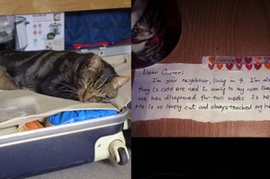主人在愛貓過世後收到了陌生人的信，信件的內容真的讓他感動不已！！
