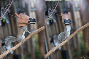 「挖嘞...怎麼卡住惹！」受不了食物的誘惑，小松鼠被惡作劇帶上「馬頭面具」模樣真的超可愛！