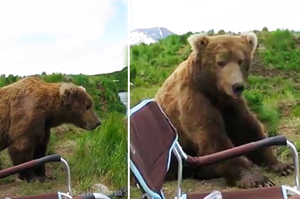 拍照拍一半，突然出現一隻棕熊跟我搭訕！網友看了直呼：真的要去廟裡收驚啦！！（附影片）