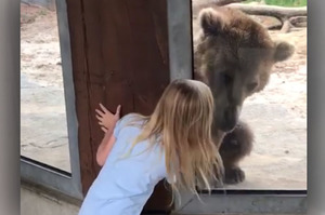 熊熊對妹妹一見鍾情，牠接下來的反應....真的讓看的人瞬間融化！（影片）