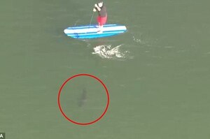 「你被15隻左右的大白鯊所環繞，請保持冷靜離開海中」直升機警告衝浪客的驚悚瞬間！