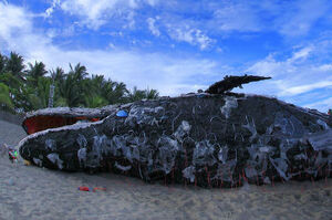 沙灘上驚見擱淺的「巨型鯨魚」屍體！？走近一看才發現...真相令人類心痛又慚愧！