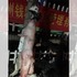 悲憾!家中哈士奇失蹤詢問警衛說沒看到...不料兇手竟然是他!