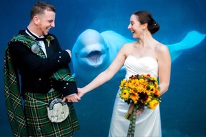 「人家也要結婚!!!!!!」這些超會搶鏡頭的動物照片....每一張都讓人笑到剛敷上的面膜都掉啦！