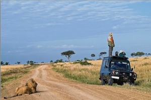 站在吉普車上尋找野生動物的學者，卻沒發現其實牠們的後面就坐了一隻...獅子表示：「該挑哪一隻當午餐呢」