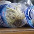 海關查獲幾件可疑的包包,打開竟看見奄奄一息的「鸚鵡」被裝進「寶特瓶」?這種走私方式真的太殘忍了!!