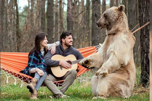「可以讓我試試嗎？」在森林裡彈吉他，彈到一半一隻大熊突然出現...然後就被牠搭訕惹XD