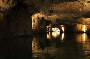 神秘生物被發現生存偏遠地下河流113米深的洞穴裡，因為神似「迷你龍」被當地人敬畏