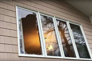 家中窗戶被打破疑似遭小偷，進屋後看到兇手竟還「霸佔」沙發...囂張模樣讓主人瞬間笑噴！(影片)