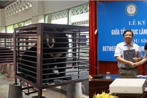 讚！越南簽署歷史性的同意書，將永久的關閉所有熊膽汁農場