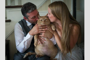 網友上傳結婚照,結果大家都被牠們的胖胖喵皇逗笑了!