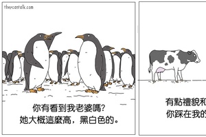 如果動物們會說話：【Part 2】！這12張「牠們會說什麼」的插畫真的是又貼切又好笑！