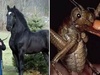 世界上最巨大的16種生物!有幾隻讓人看完後有點想要移居到火星去了...
