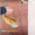 弟弟上學快遲到還遇流氓喵擋路,移到旁邊三次後...網笑噴「命中註定賴上你呀XD」(影片)
